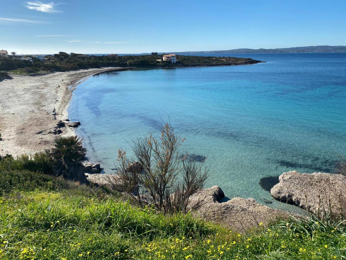 I Fenicotteri - Appartamenti Sul Mare Calasetta Kültér fotó